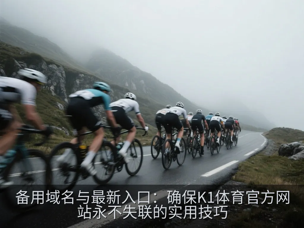 备用域名与最新入口：确保K1体育官方网站永不失联的实用技巧